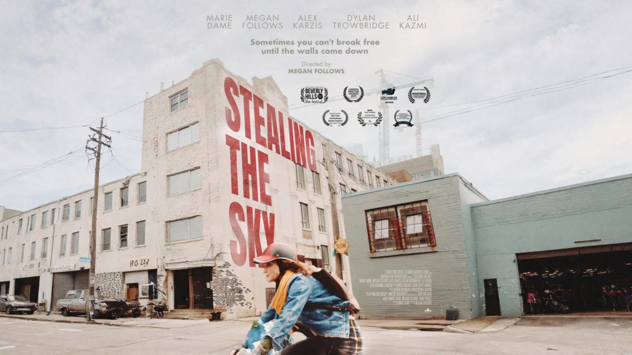 مشاهدة فيلم Stealing the Sky 2025 مترجم كامل HD