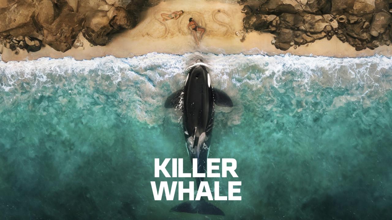 مشاهدة فيلم Killer Whale 2026 مترجم كامل HD